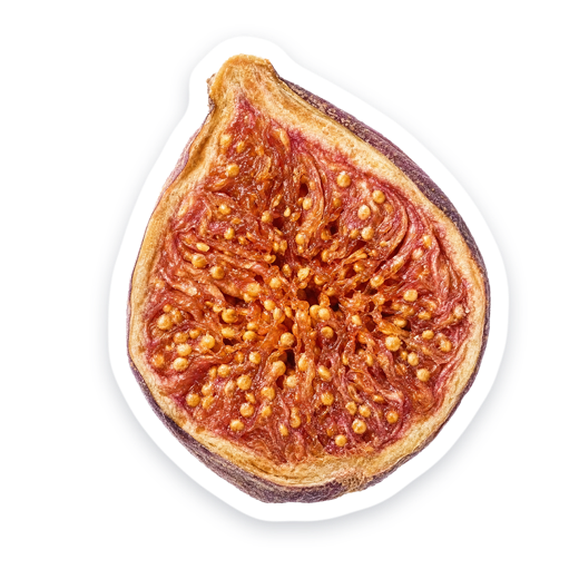 Fig