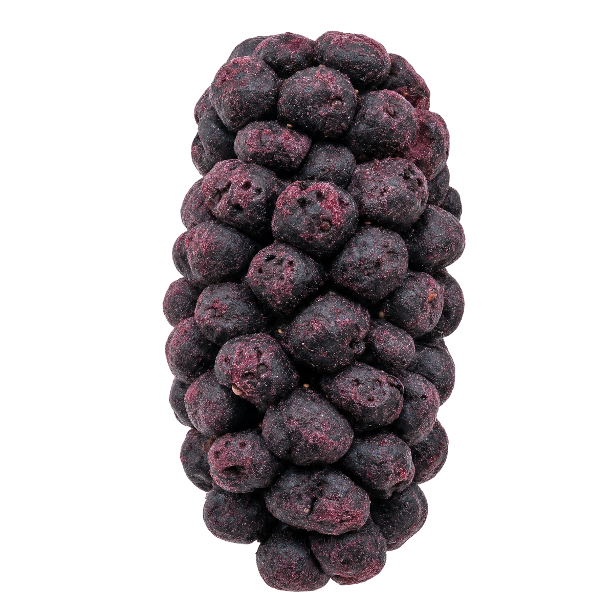 Whole Blackberry