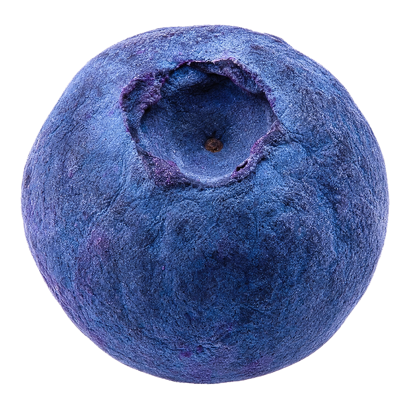 Freeze-Dried Wild Blueberries