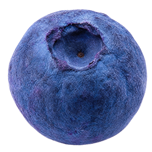 Freeze-Dried Wild Blueberries