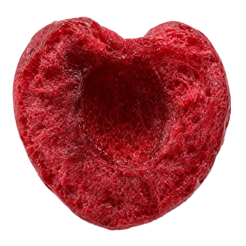Freeze-Dried Cherries