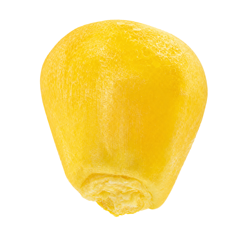 Freeze-Dried Super Sweet Corn