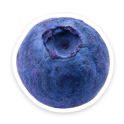 Blueberry